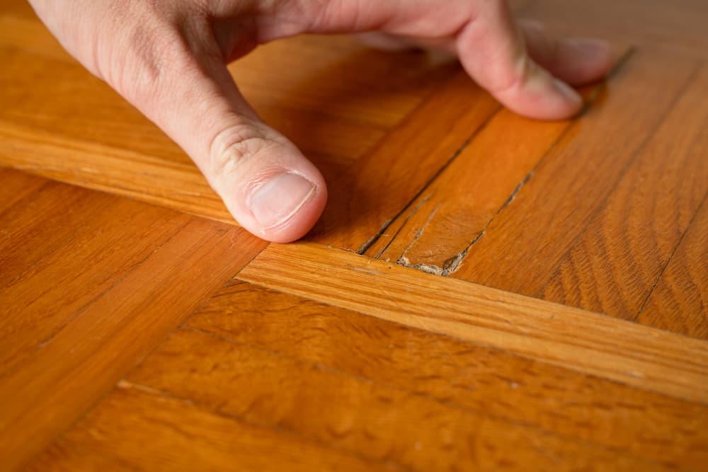 5 Signs Your Wood Floors Need More Than Just a Polish