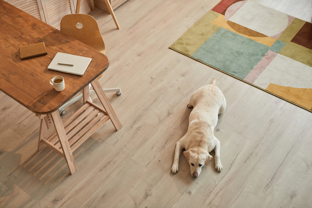 How do I protect my hardwood floors from scratches caused by pets?
